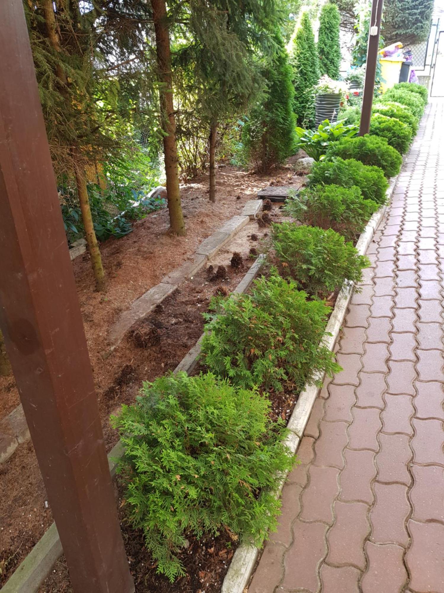 Apartamenty, Pokoje, Noclegi Pracownicze " Skarpa" ويلكاسي المظهر الخارجي الصورة